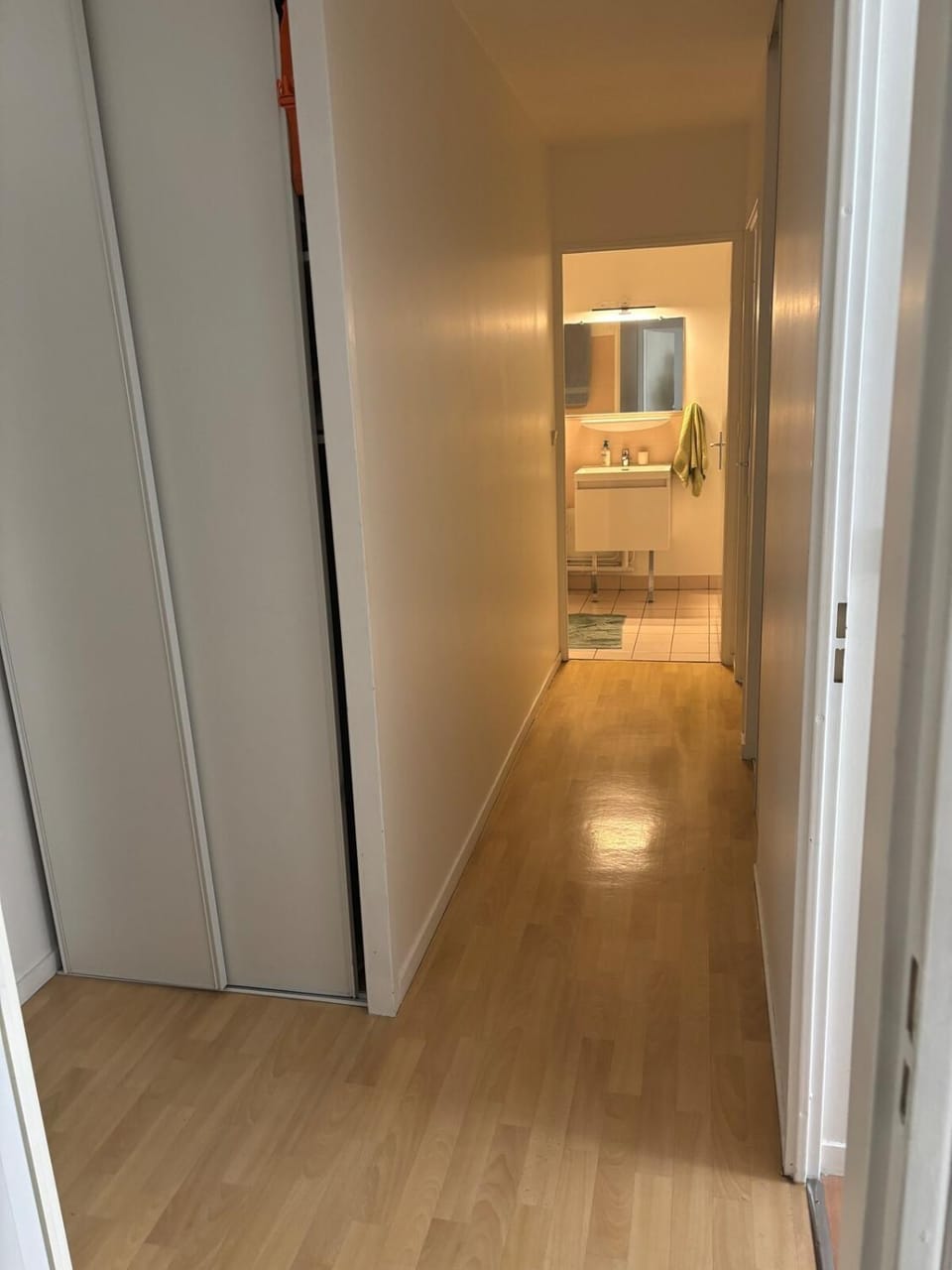 Bel appart 3 ch centre Apartment in Tours