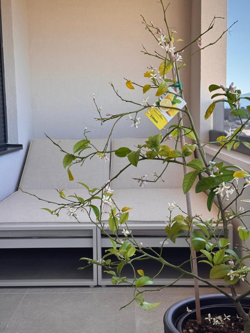 Salt&Still - Timeless Tranquility with sea view Apartment in Makarska