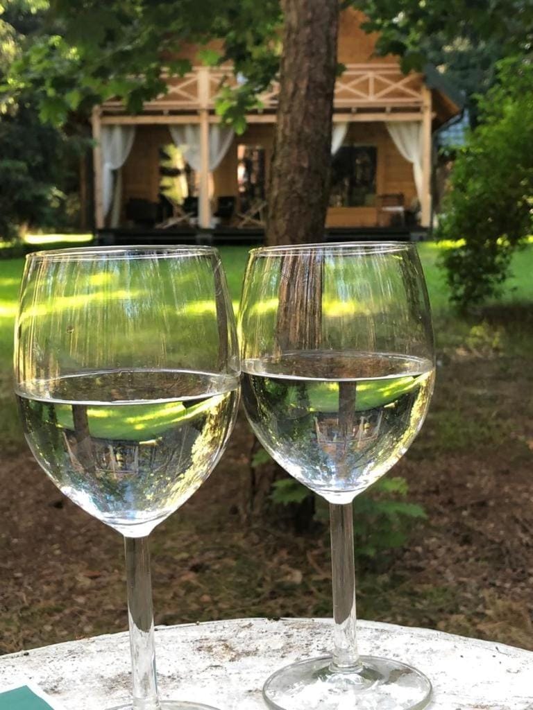 Raj w lesie - Paradise in the woods Villa in Masovian Voivodeship