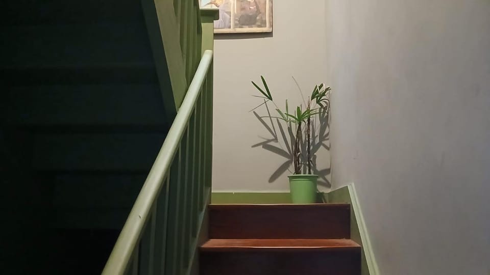 Casa Verde House in Sao Paulo City