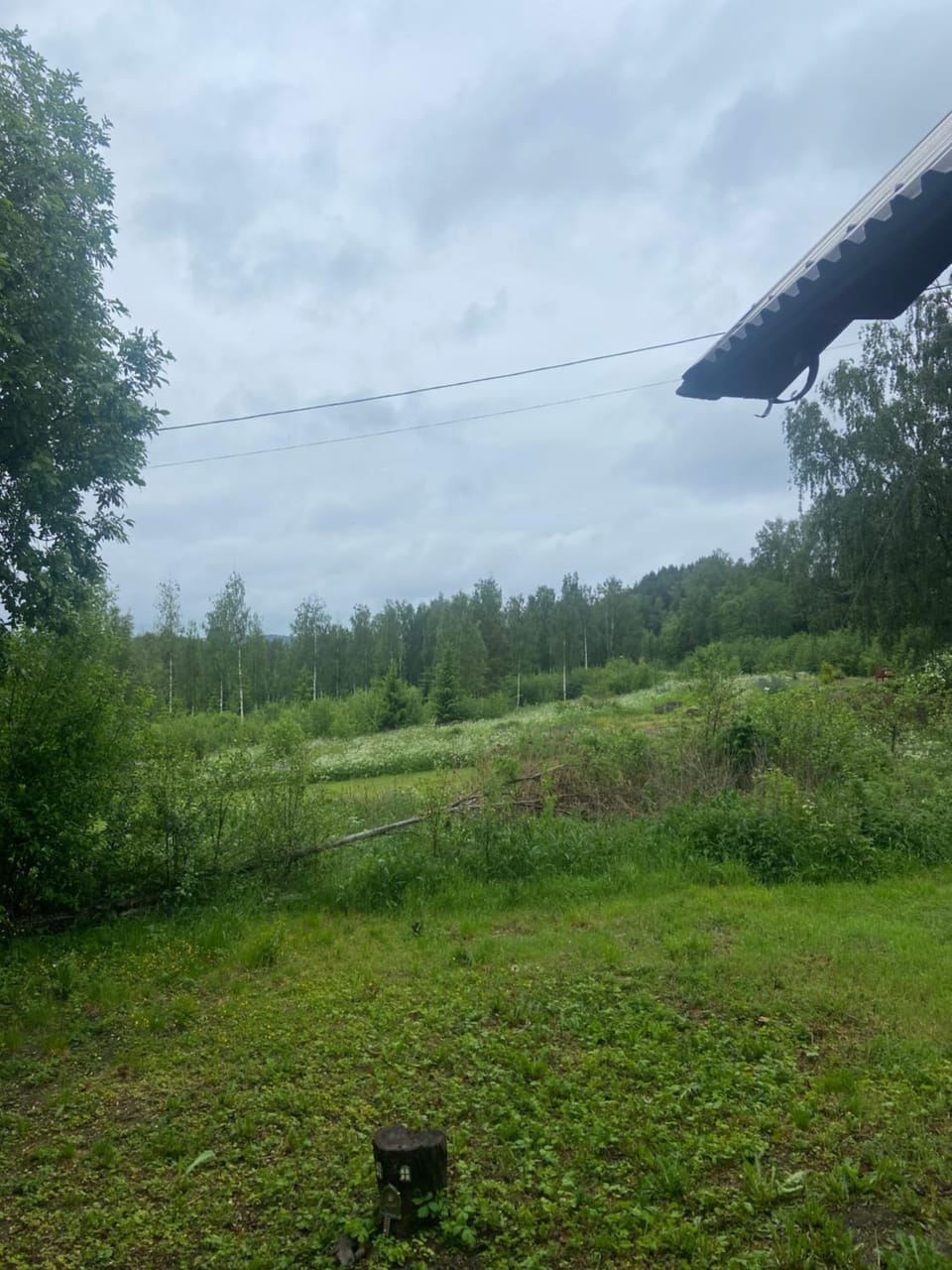 Natural landscape, View (from property/room)