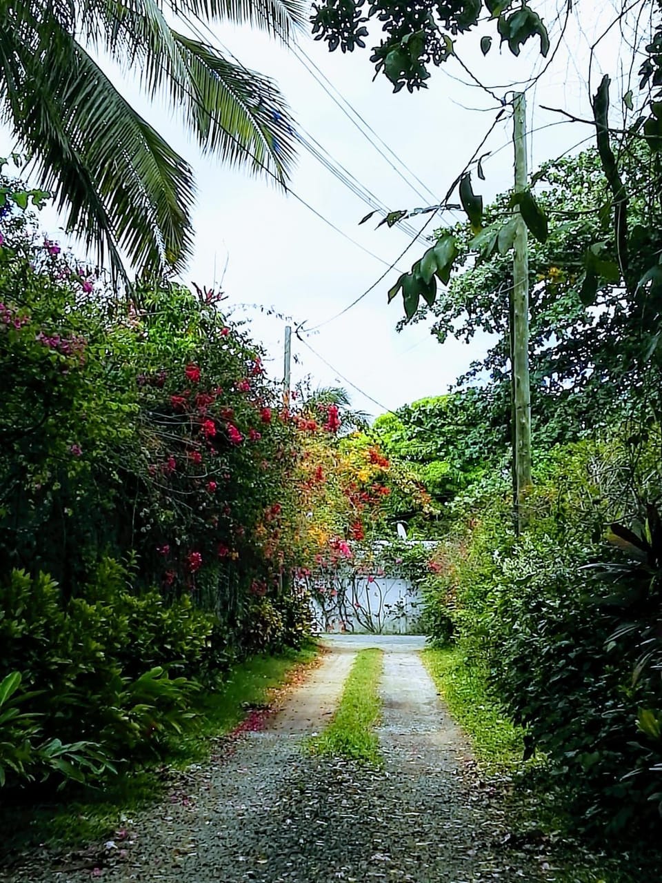 Natural landscape, Street view