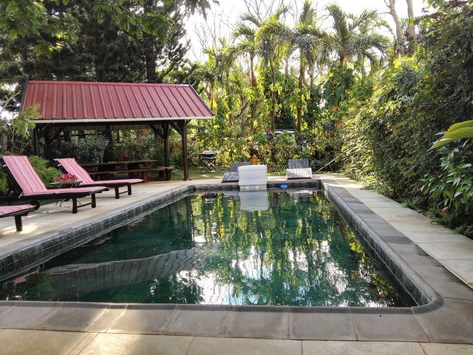 Garden, Pool view, Swimming pool