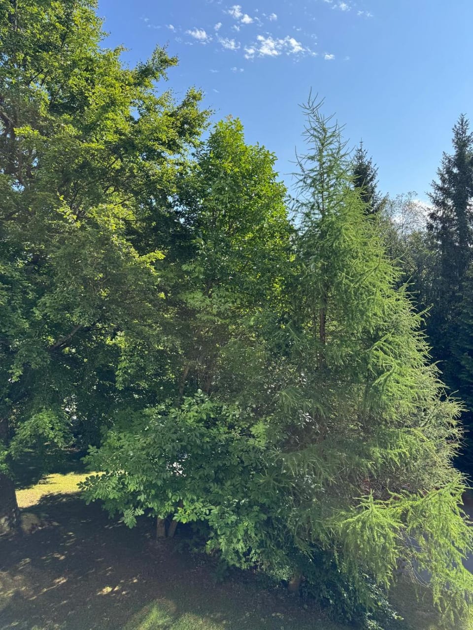 Garden, Garden view