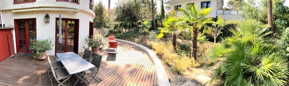 Garden view