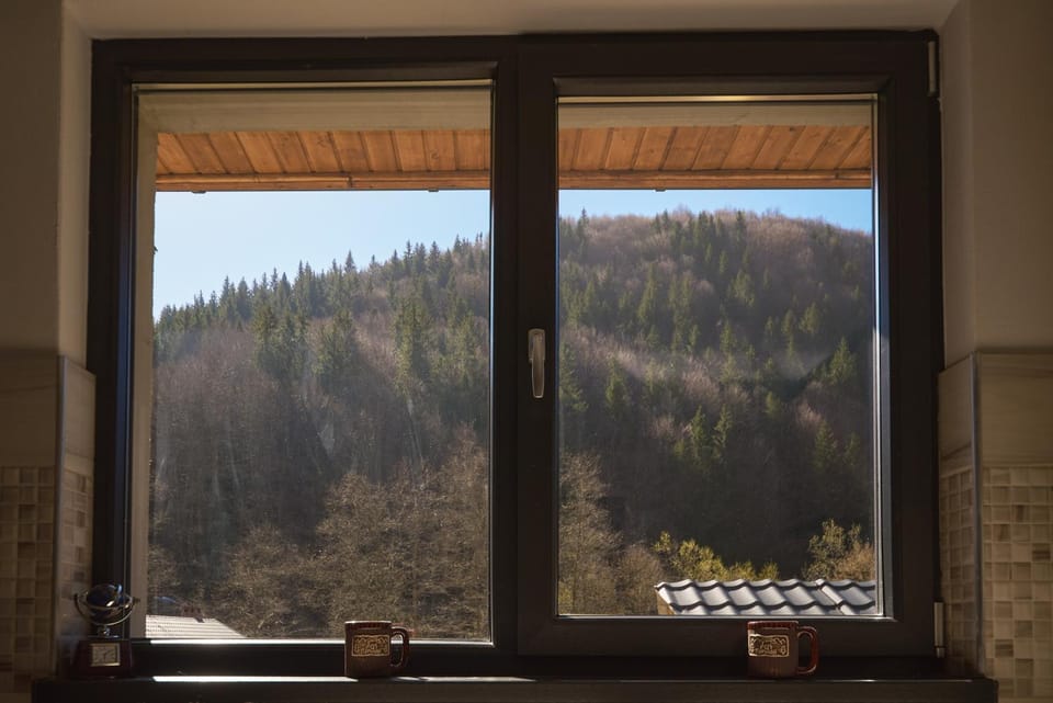 Cabana Cerbu House in Romania