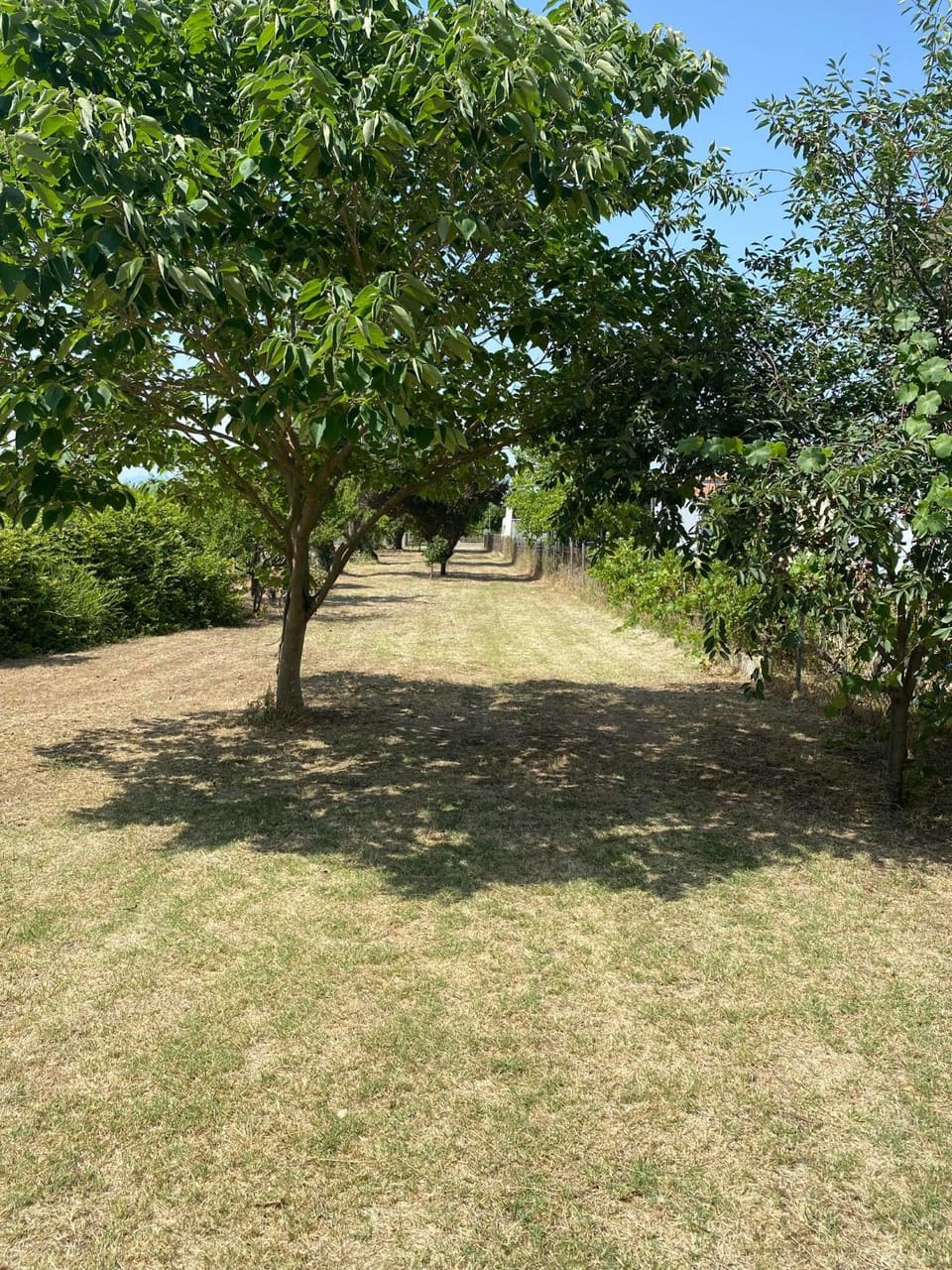 Garden, Garden view