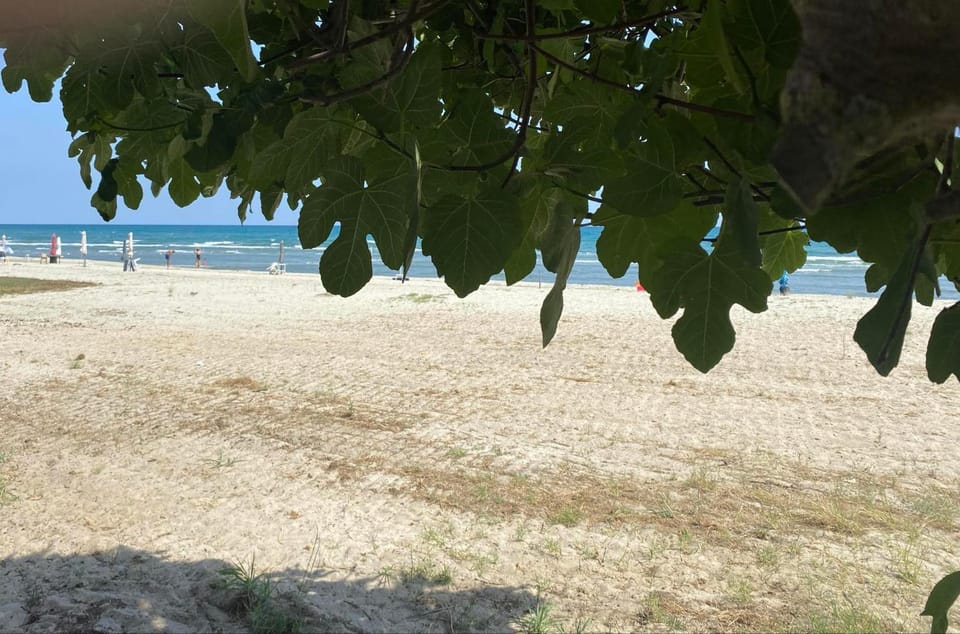 Beach, Sea view