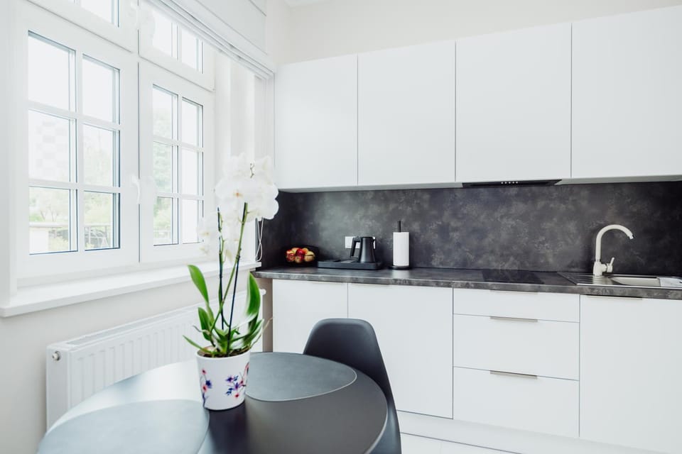 Kitchen or kitchenette, Dining area, pet friendly, stove