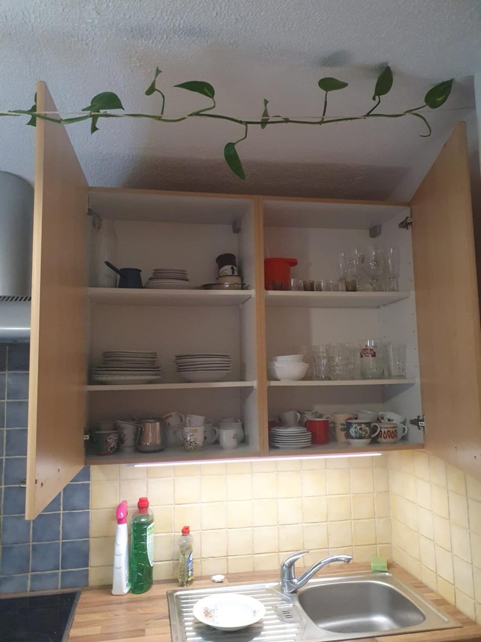 ALPINE VILLAGE APARTMENT with a private terrace, garden, and parking - at a walking distance from LAKE BLED Apartment in Slovenia