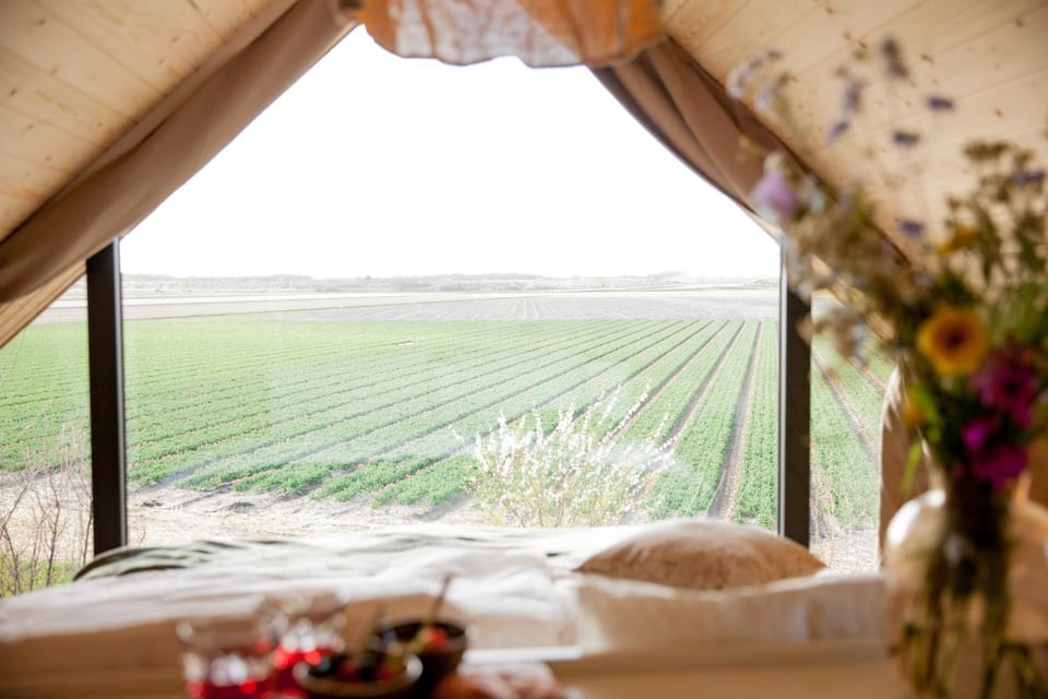 Bed, Natural landscape, Bedroom, Landmark view