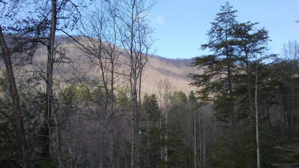 Country Log Cabin-15 min to Asheville Cabin in Swannanoa