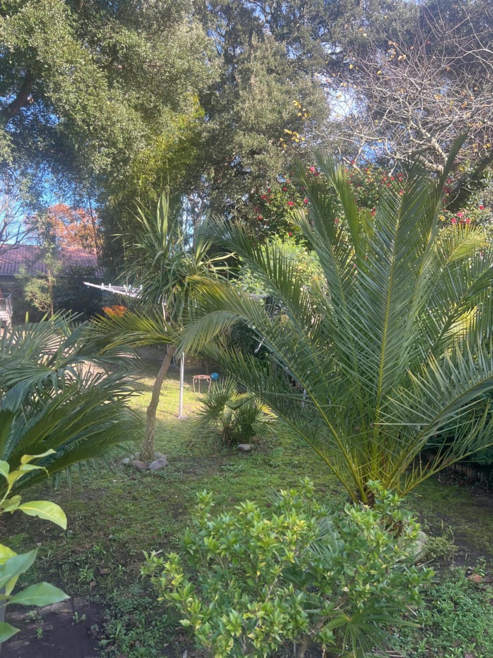 Garden view