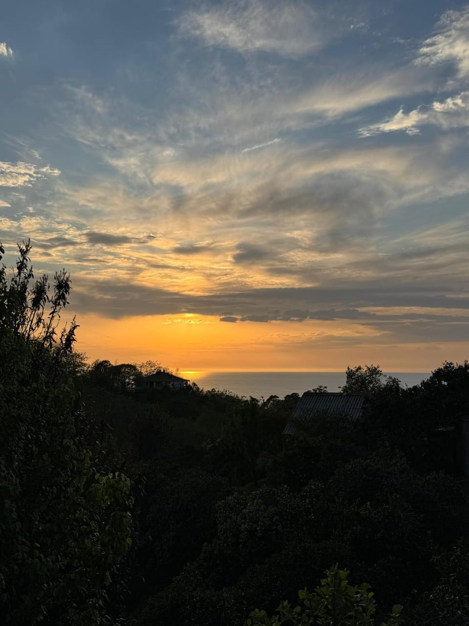 Sea view