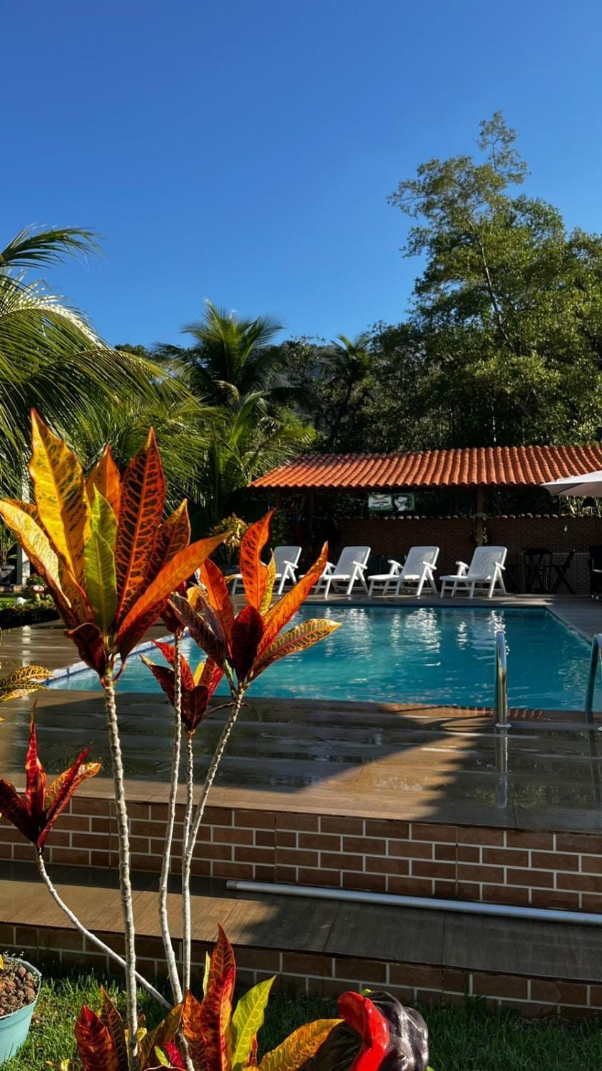 Day, Garden, Garden view, Pool view, Swimming pool, sunbed