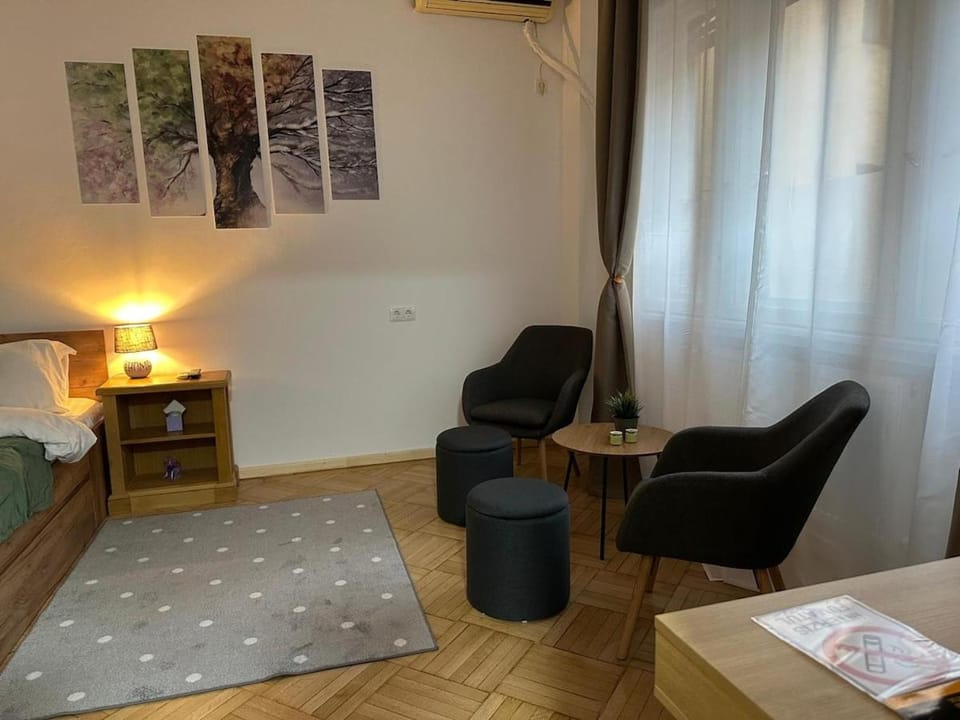Affordable 1Br Apt in Downtown Apartment in Bucharest