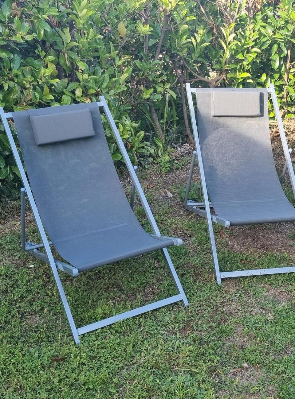 Garden view, sunbed
