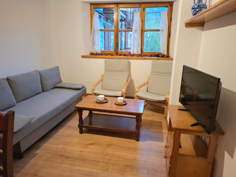 Isard Apartament Apartment in Pla de l'Ermita