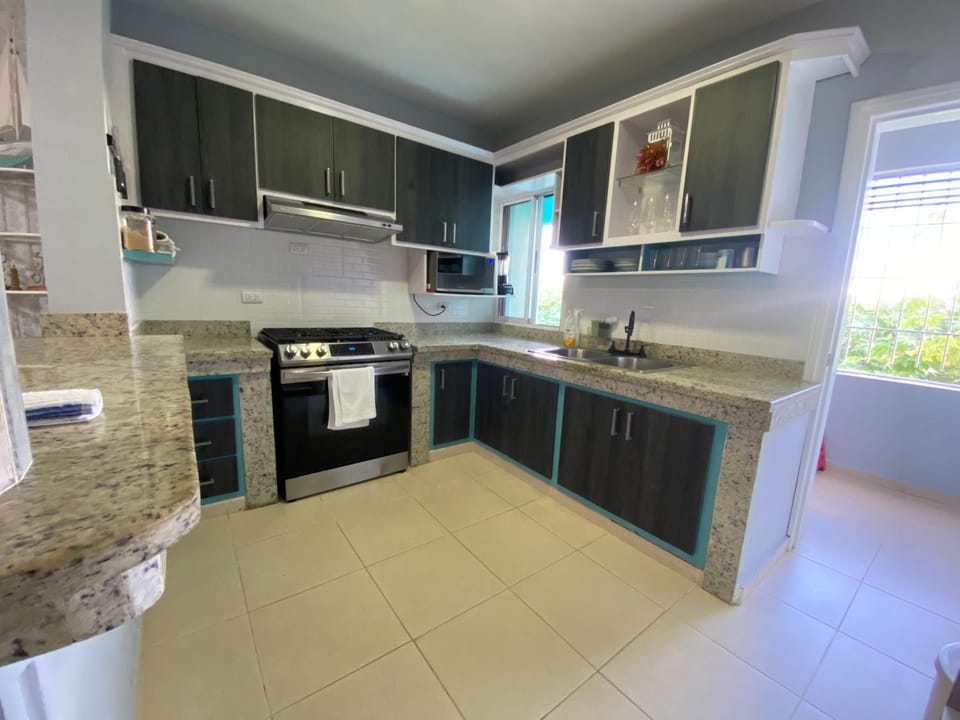 Kitchen or kitchenette, dishwasher, minibar, oven, stove