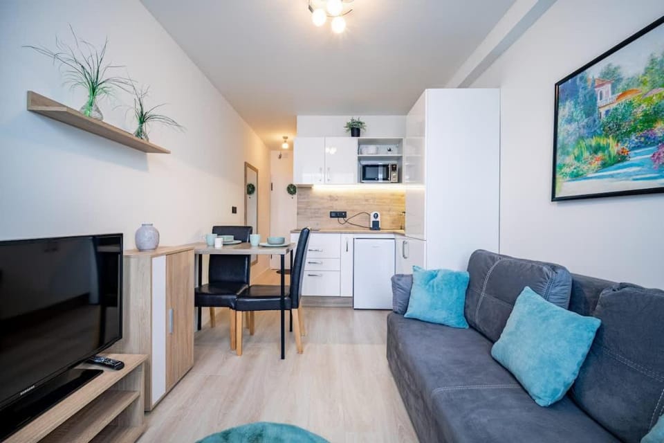 TV and multimedia, Kitchen or kitchenette, Living room, Seating area, Dining area, Evening entertainment, pet friendly