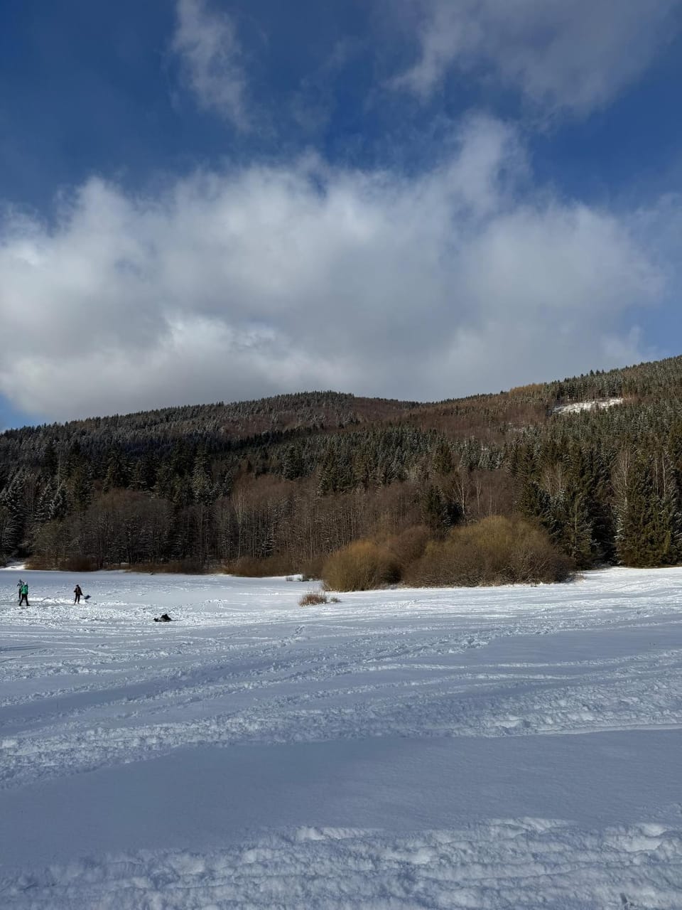 Natural landscape, Winter