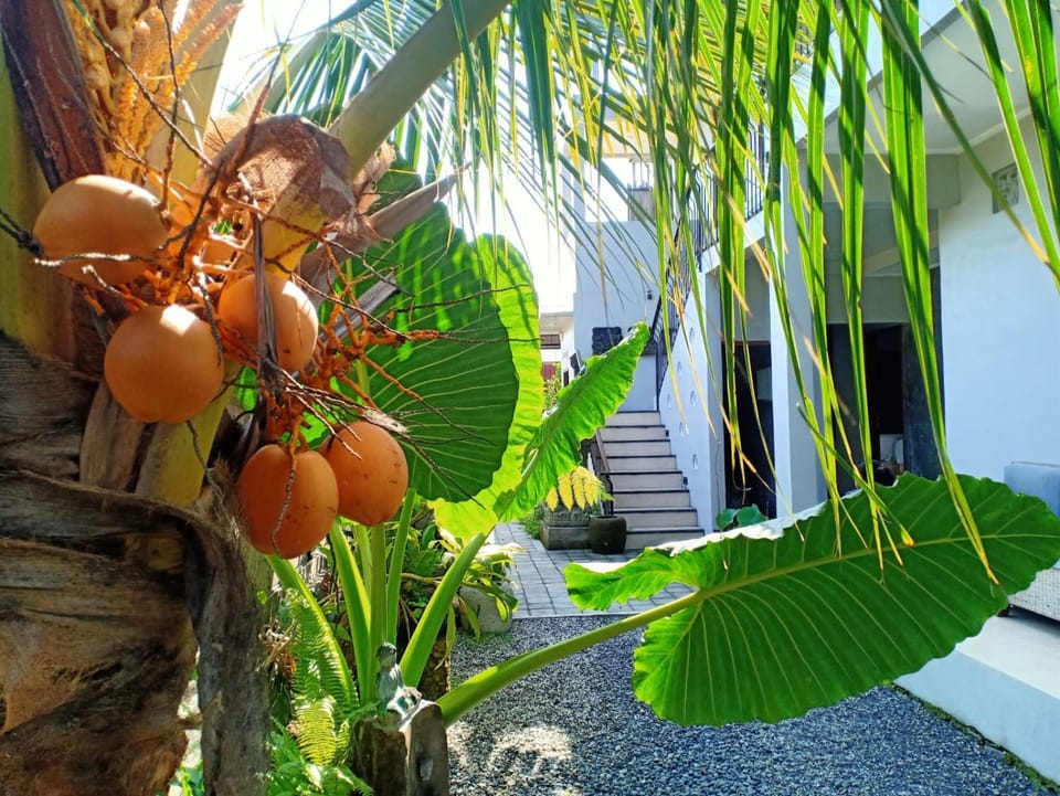 Gelombang House Bed and Breakfast in Sukawati