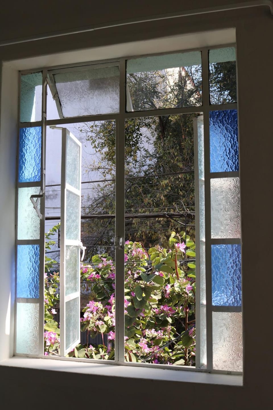 Garden view