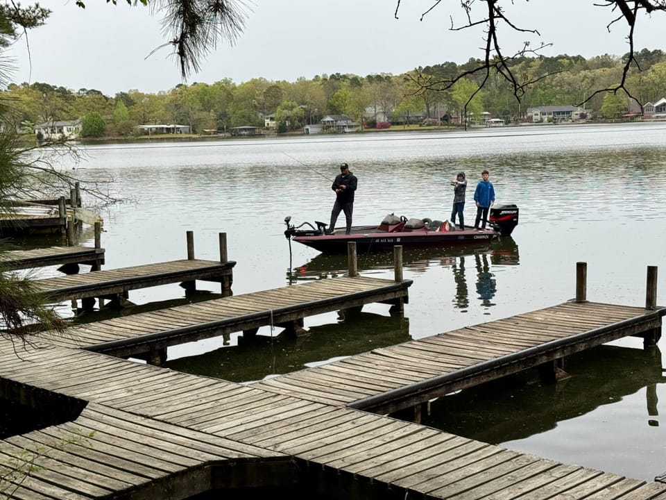 4-OH, DEER! - Historic Five Points Lake Hamilton House in Hot Springs