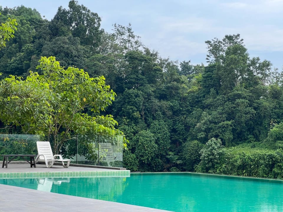 Day, Natural landscape, Garden view, Pool view, Swimming pool