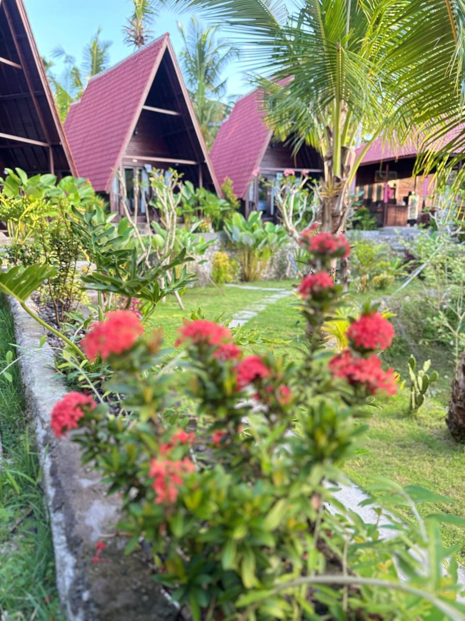 Kelingking Terrace Cottage Nature lodge in Nusapenida