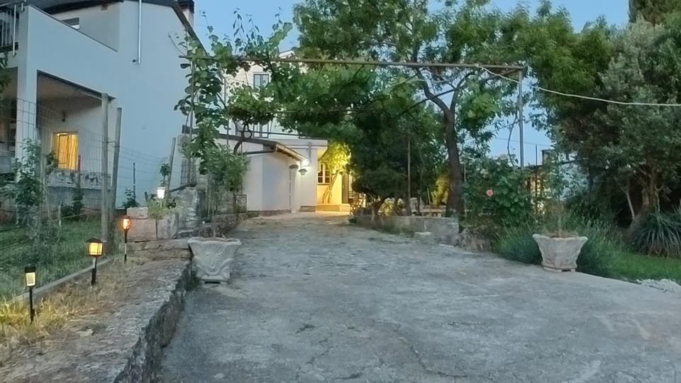 Property building, Garden, Garden view