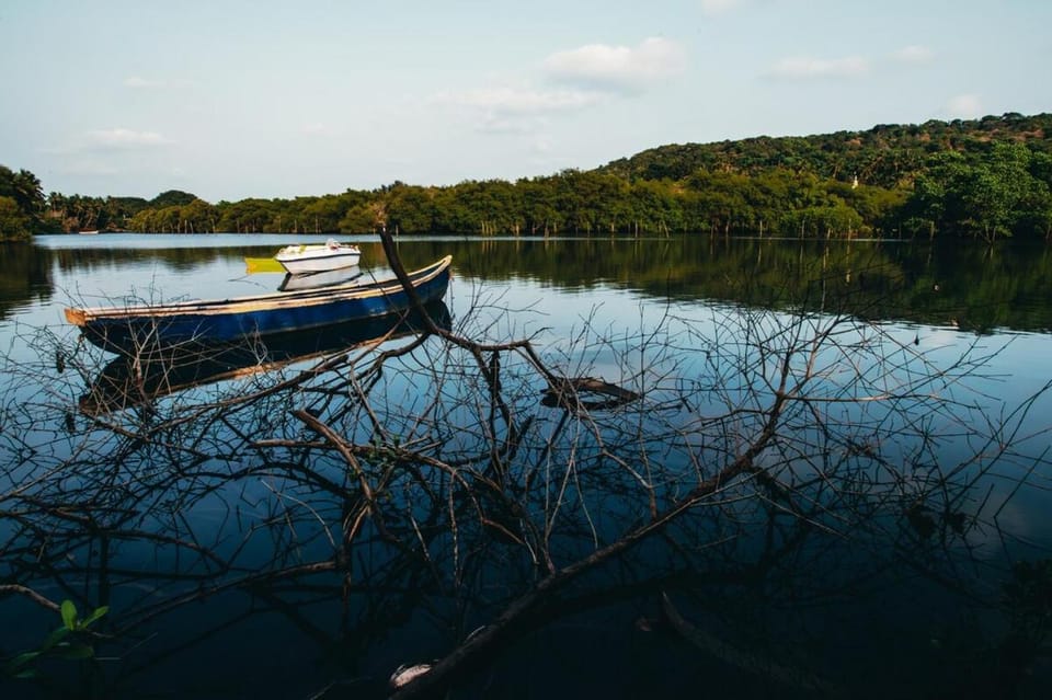 Natural landscape, Activities, River view