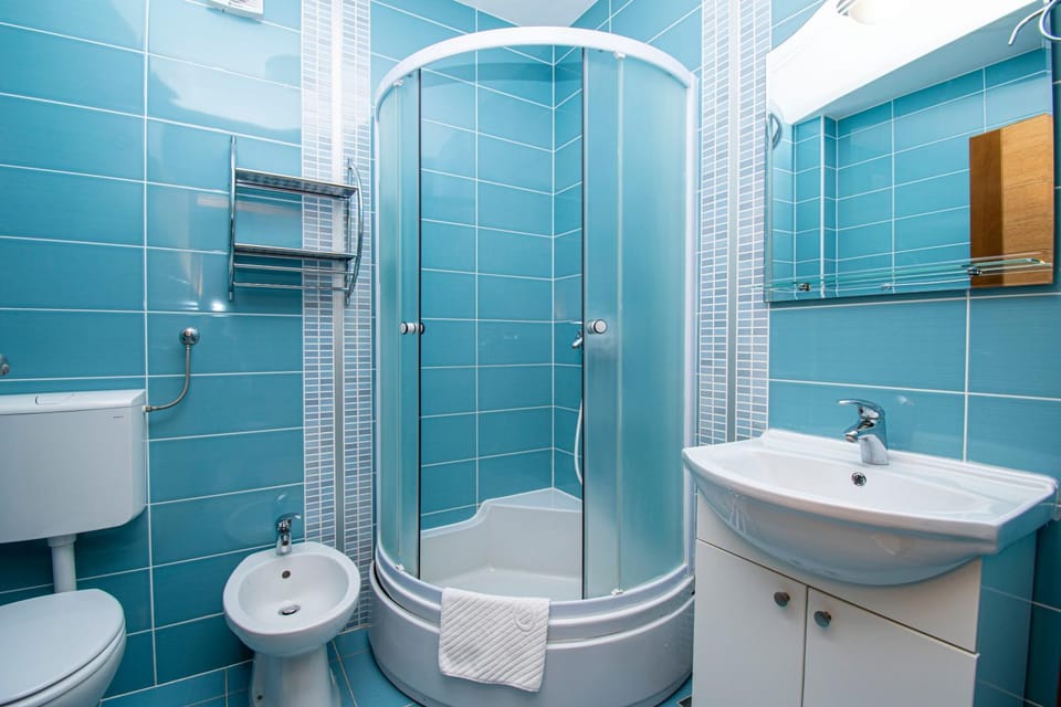 Shower, Toilet, Bathroom, bidet