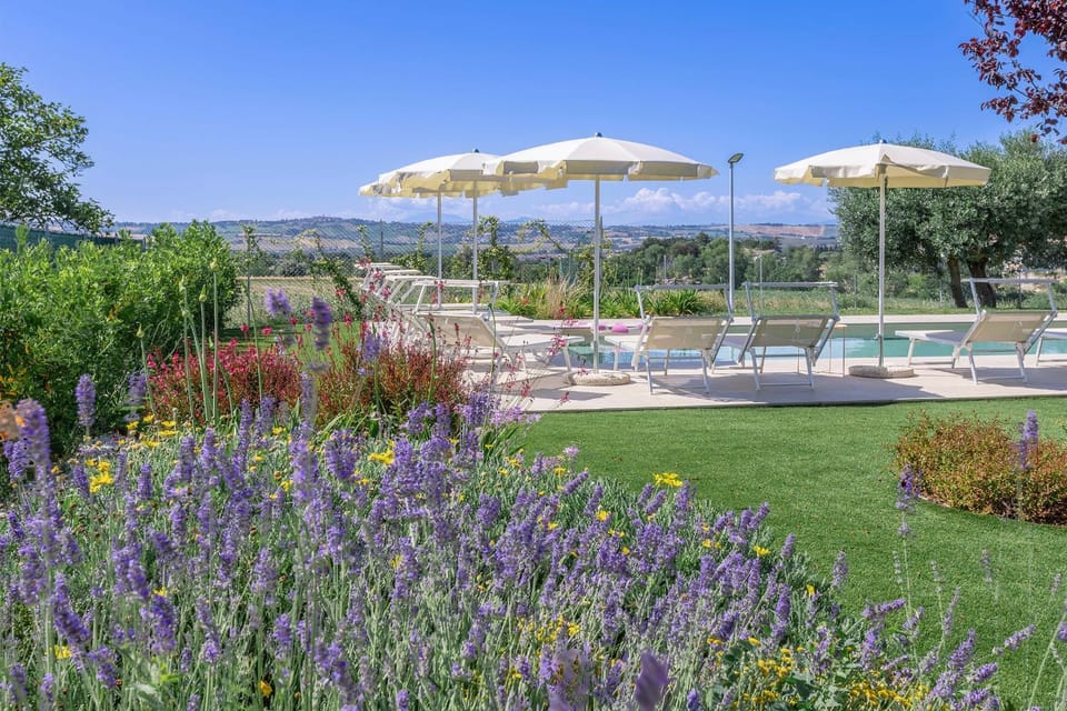 Garden, Swimming pool