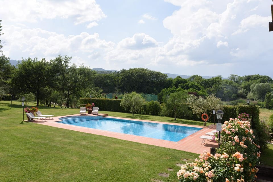 Spring, Day, Natural landscape, Garden, Garden view, Pool view, Swimming pool, sunbed