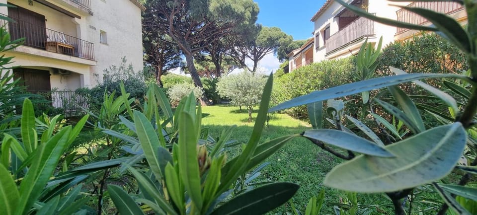 Spring, Natural landscape, Garden, Garden, Garden view