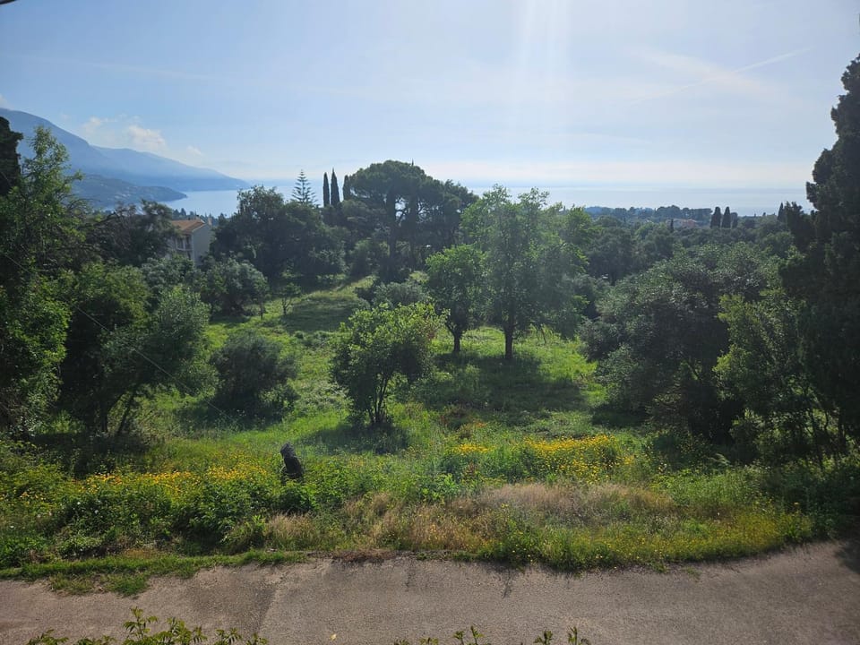 Spring, Natural landscape