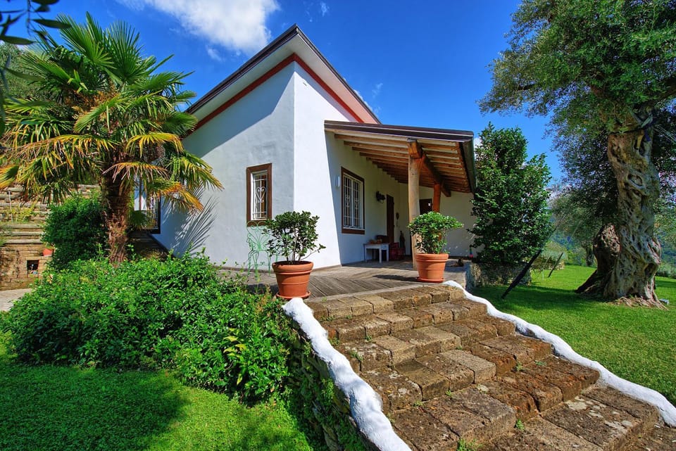 Facade/entrance, Garden