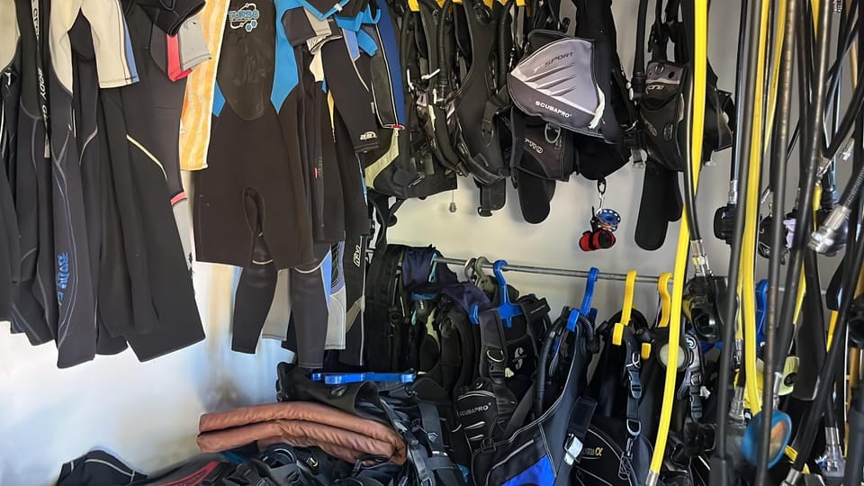 Snorkeling, Diving, Sports