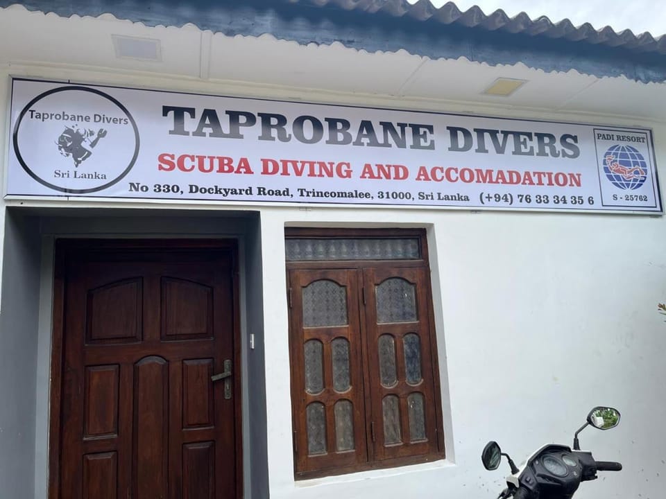 Facade/entrance, Diving