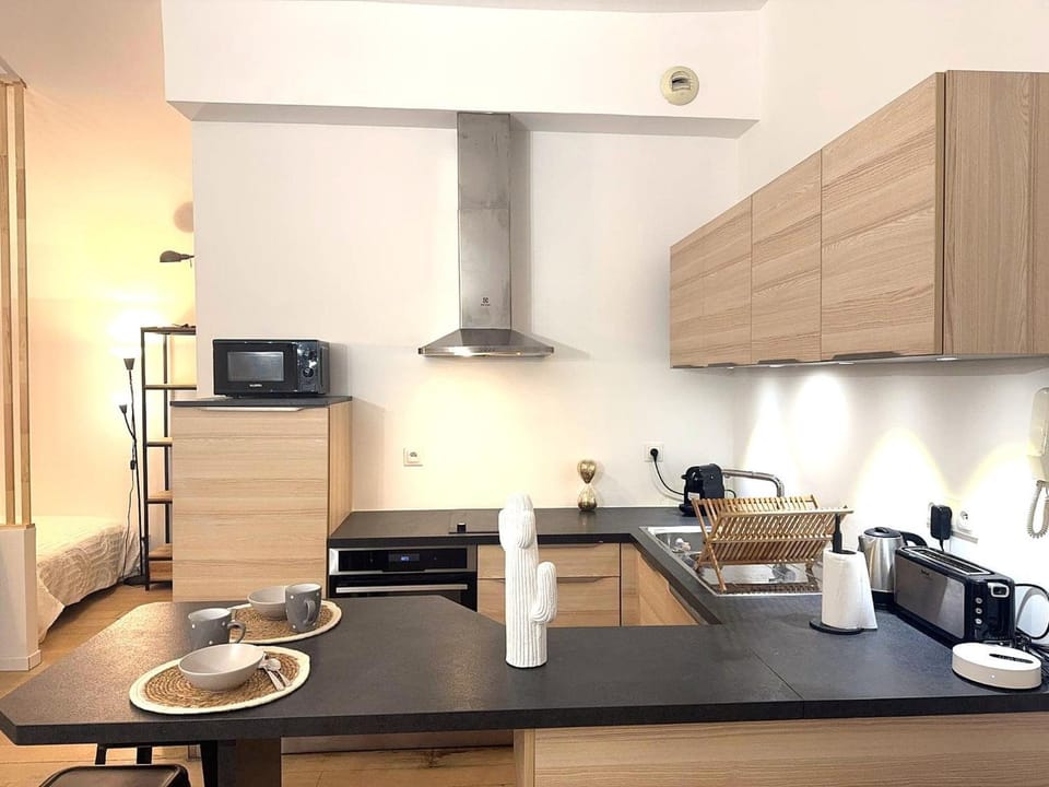 Studio vieux nice coulee verte Apartment in Nice