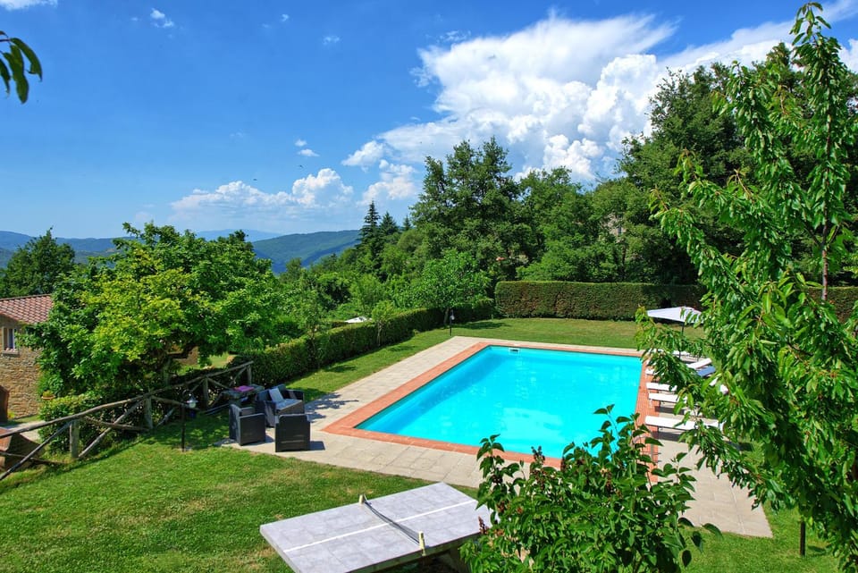 Natural landscape, Garden, Garden view, Pool view, Swimming pool, sunbed