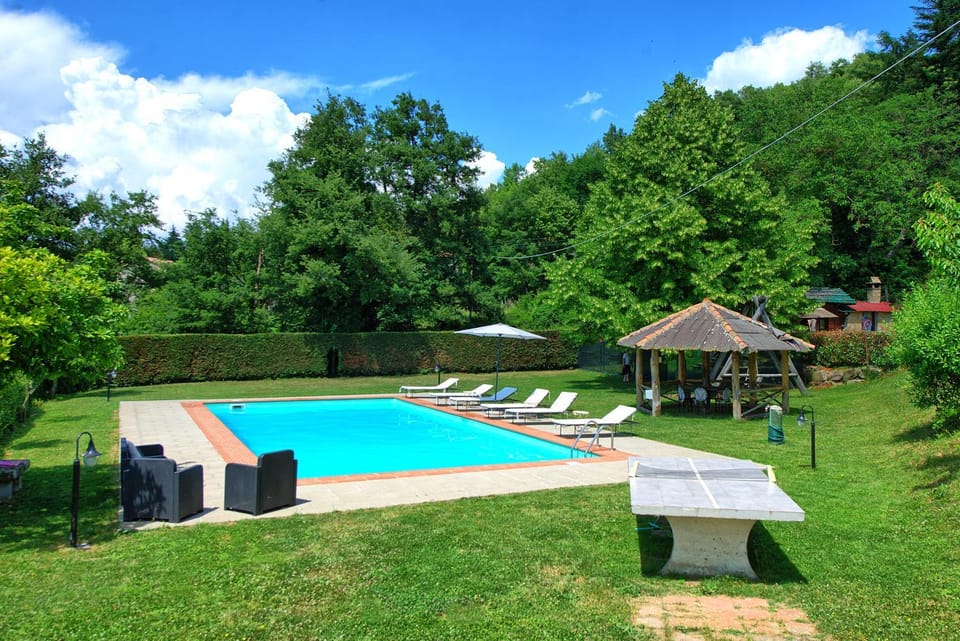 Day, Natural landscape, Garden, Garden view, Pool view, Swimming pool, sunbed