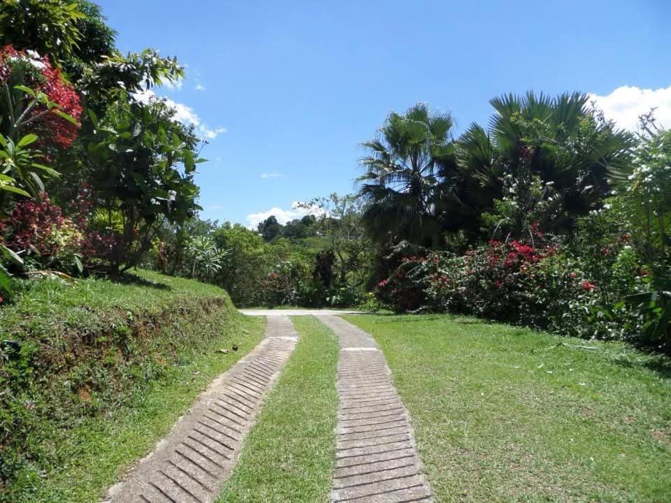 Finca Arcanos Celeste House in Antioquia