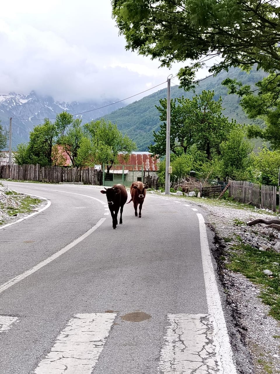 Guest hause 1 Campground/ 
RV Resort in Montenegro