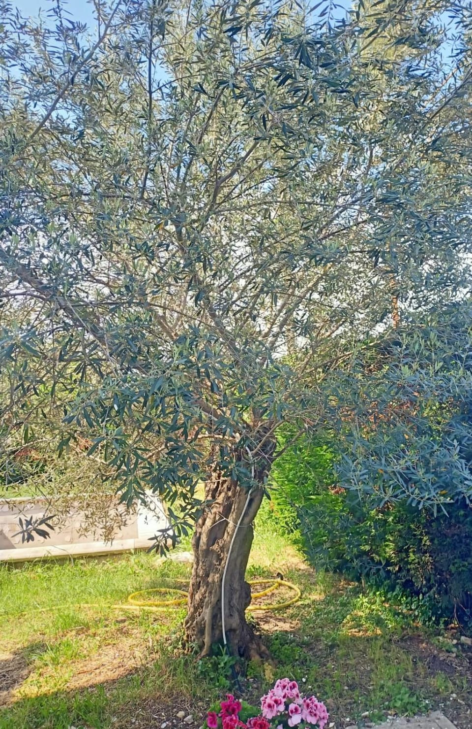Villa Antonina House in Abruzzo