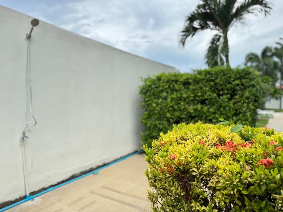 Shower, Spring, Day, Garden, Garden view