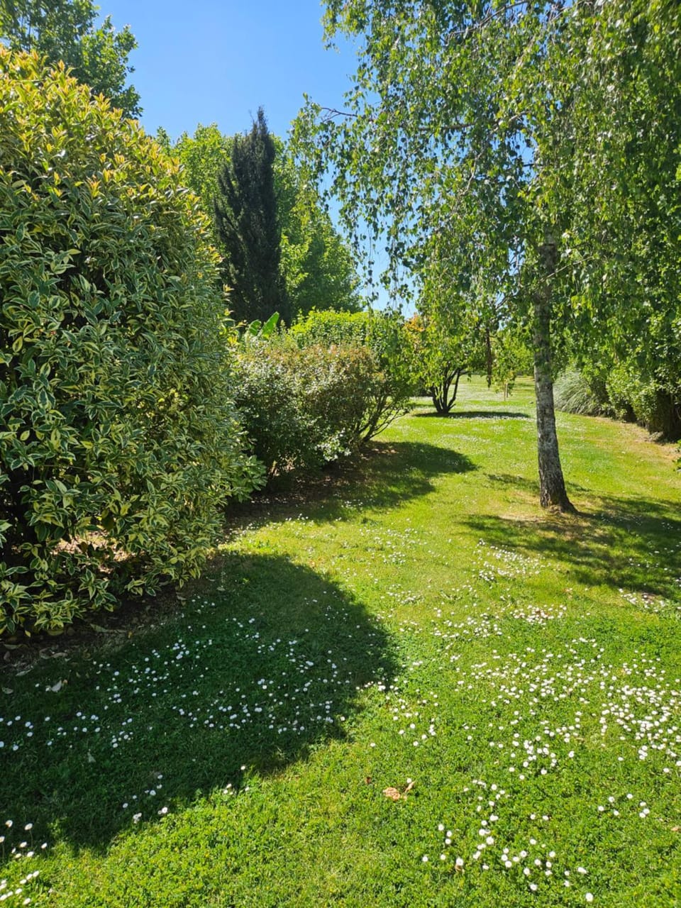 Garden, Garden