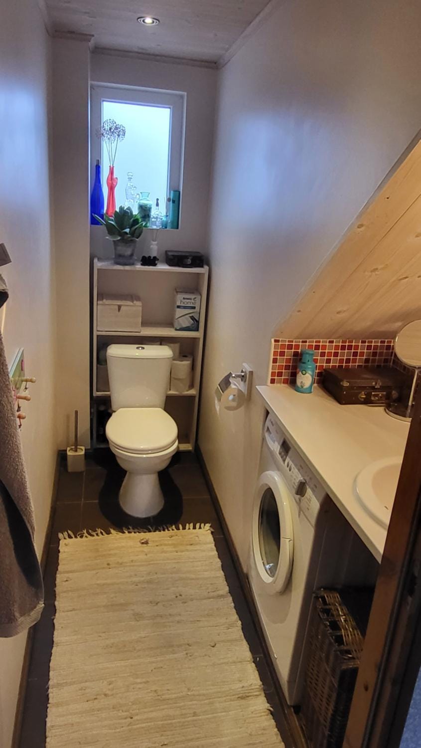 Toilet, washing machine