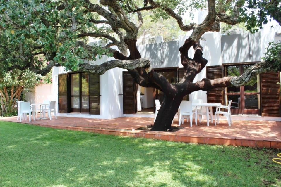 Patio, Garden, Garden view